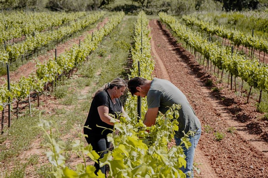 GABOR CELLER - 2024.05.29-11